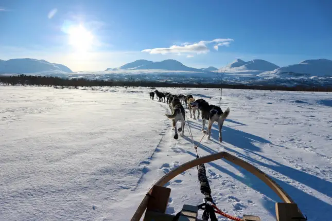 swedish lapland dogsledding abisko