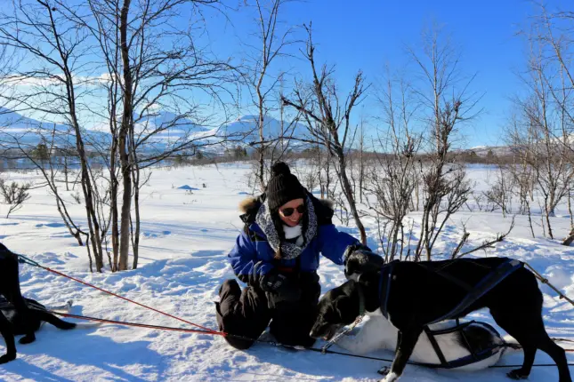 swedish lapland dogsledding abisko