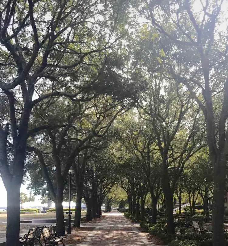 36 hours in charleston south carolina battery park