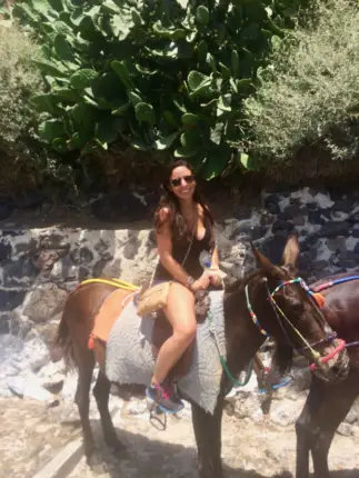santorini donkey ride rachel shulman 2