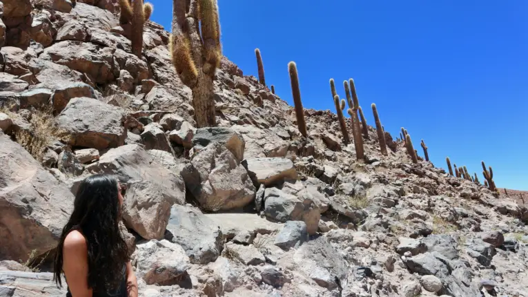cactus canyon guatin