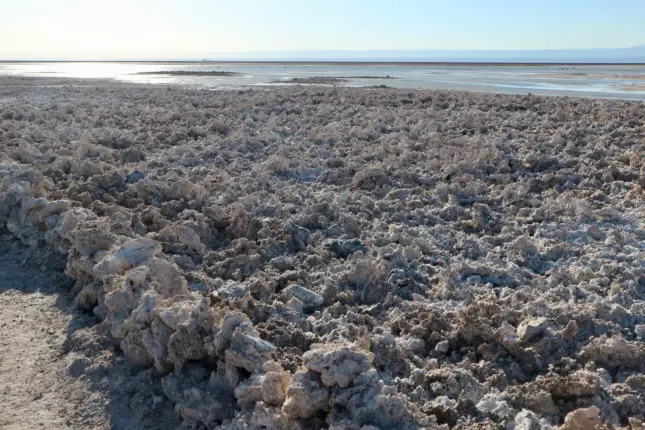 chaxa lagoon atacama salt flats