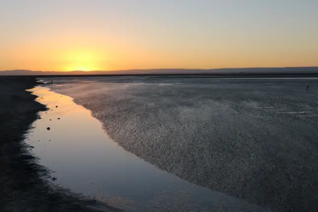 chaxa lagoon sunset atacama