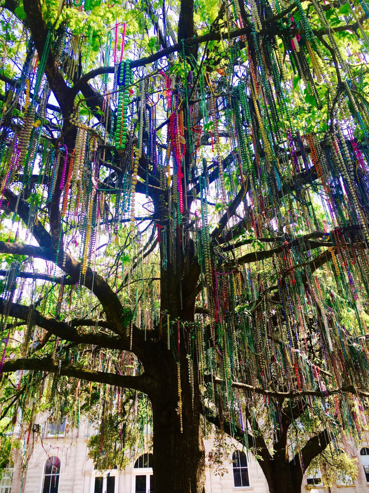 NEW ORLEANS BLOG: A LOCAL'S TRAVEL GUIDE - From East to West | Detailed ...