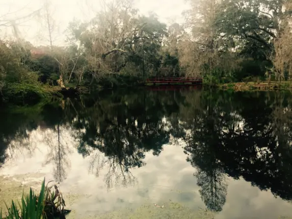 magnolia plantation charleston south carolina 2