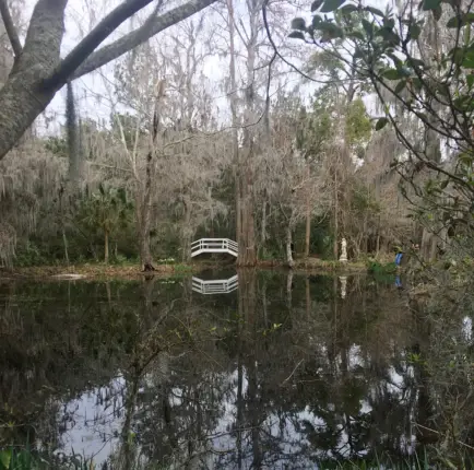 magnolia plantation charleston south carolina