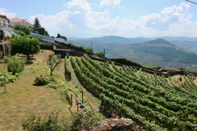 dorigem winery portugal