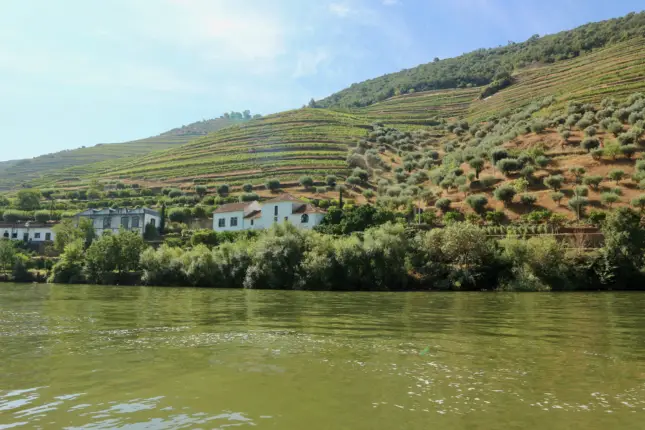 douro river cruise