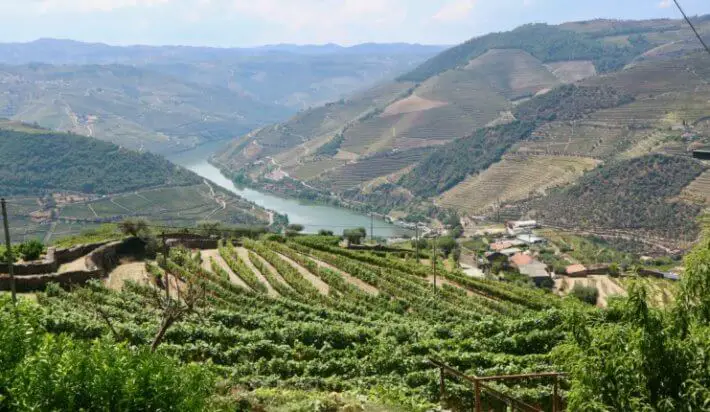 douro valley tour portugal