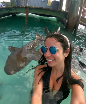 bahamas swimming with sharks