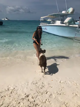 pig beach exuma