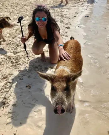 pig island bahamas