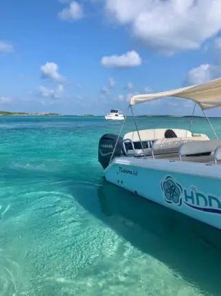 swim with pigs nassau