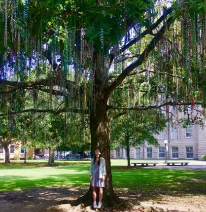 new orleans bead tree