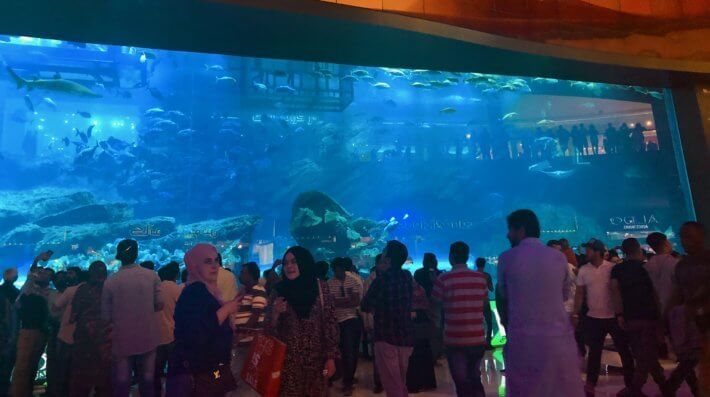 dubai mall aquarium