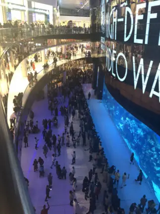 dubai mall aquarium