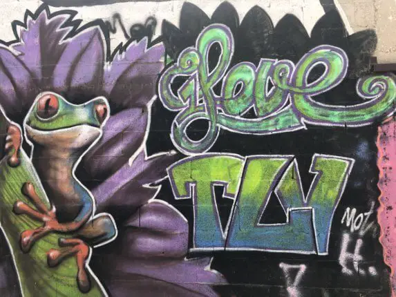 tel aviv florentin graffiti