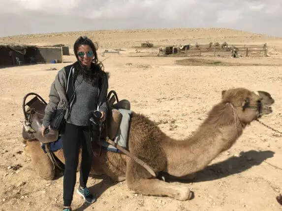 camel in israel
