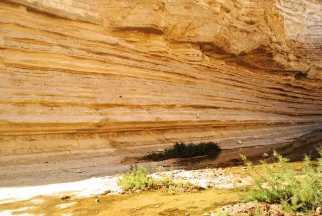 ein avdat and zin valley israel