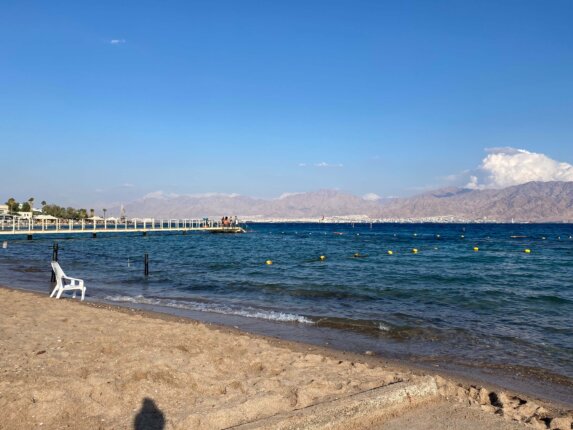 coral reef eilat israel