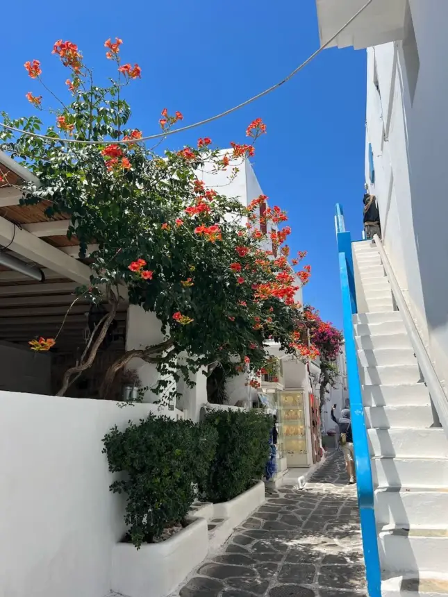 How to get to Nammos Village in Mykonos by Bus?